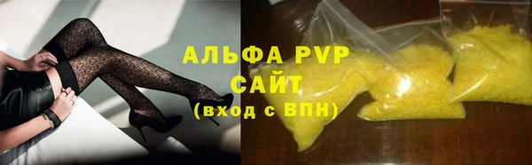 ГАЛЛЮЦИНОГЕННЫЕ ГРИБЫ Бородино